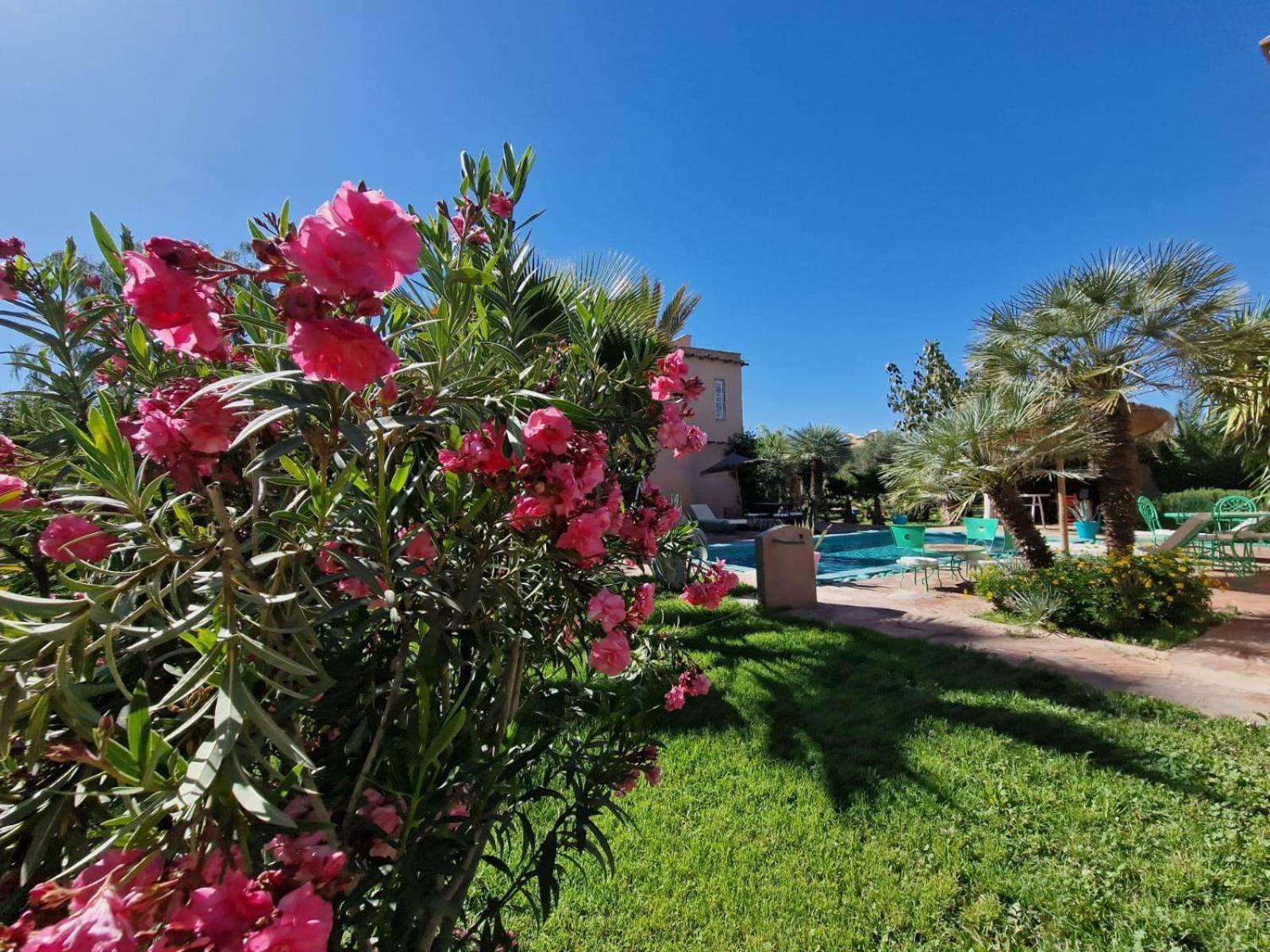 Manzal Lahbab, 2Villas 2Bungalows 2Piscines Et Jardins Ouled Jelal Eksteriør bilde